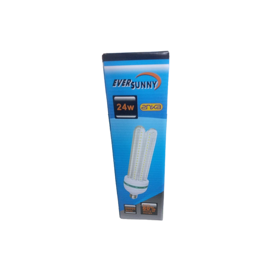 EVER SUNNY 24 W ANKA (20000 HEURES)