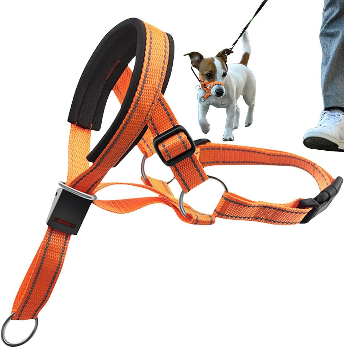 HARNAIS DE BOUCHE POUR CHIEN