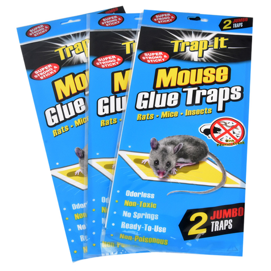 TRAP-IT MOUSE GLUE TRAPS