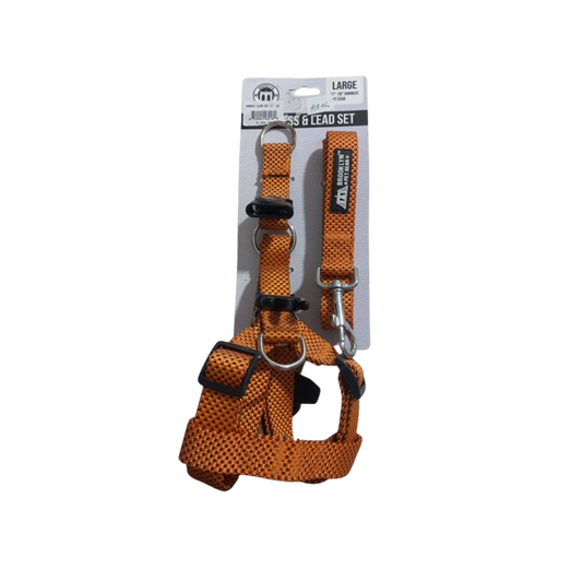 HARNAIS DE BOUCHE POUR CHIEN
