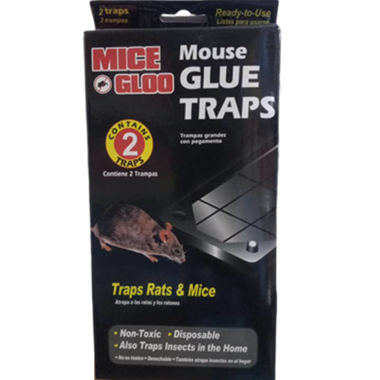 MOUSE GLUE TRAPS